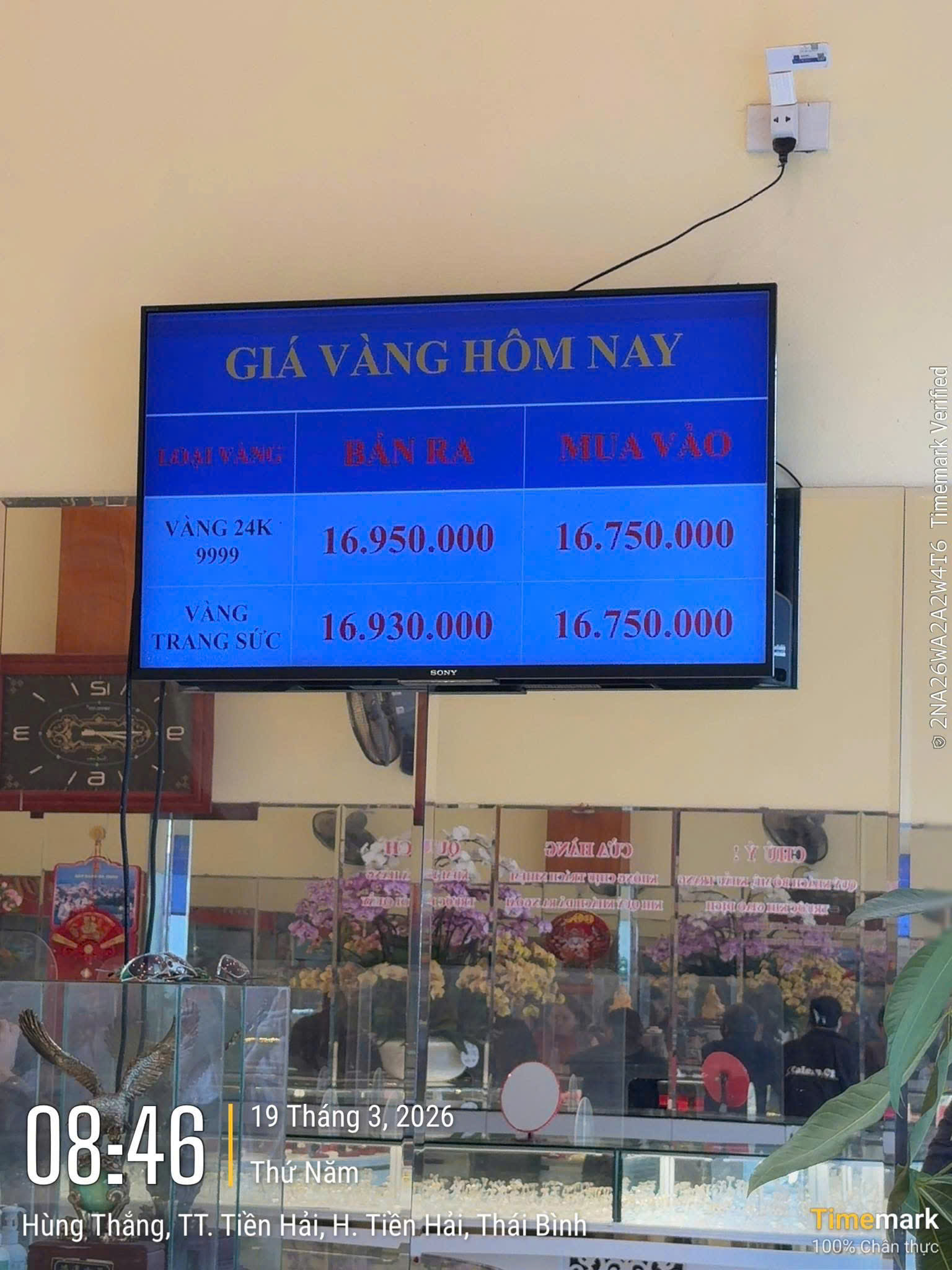 Giá vàng Ngọc Châu